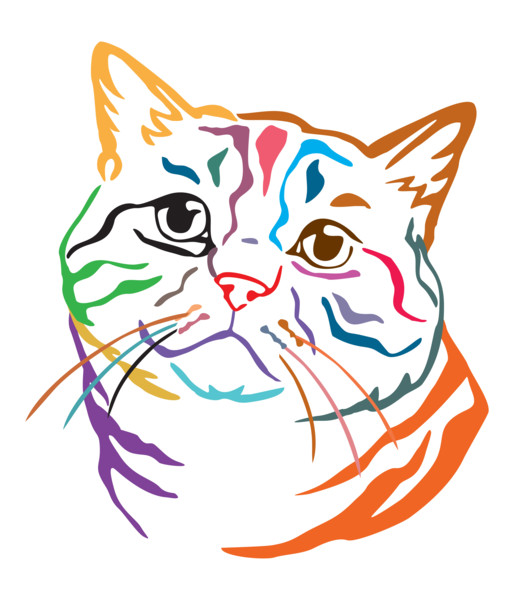 Colorful decorative portrait of British Cat, contour vector illustration in different colors isolated on white background. Image for design, cards and