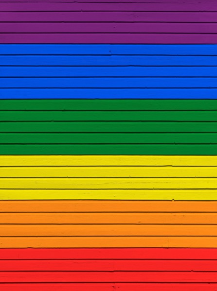 Wood board wall painted in rainbow flag colors. Abstract textured background. Gay pride and LGBT movement flag concept.