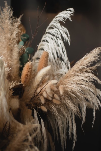 Close-up of dried thistle, bunny tails and pampas grass bouquet