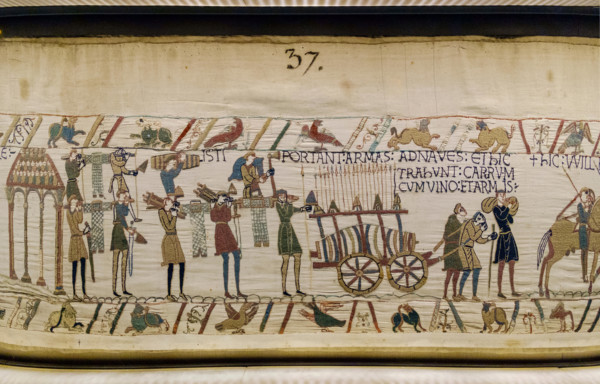 bayeux tapestry close up detail