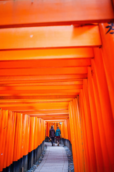 Torii gates at Fushimi Inari-Taisha sanctuary,Kyoto, Japan