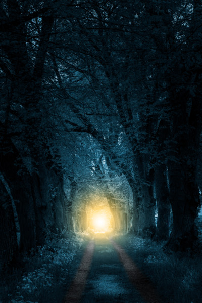 footpath trough mystically forest to sunlight