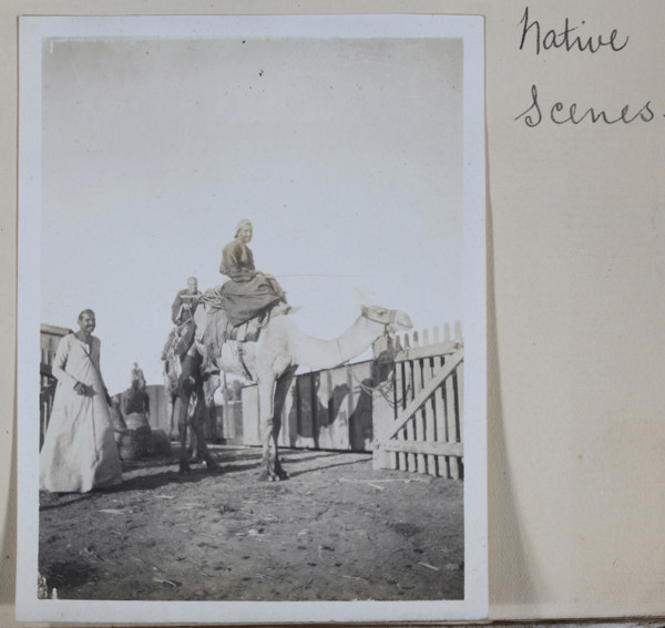 Photograph - Man on a Camel, Egypt, Captain Edward Albert McKenna, World War I, 1914-1915, One of 139 photographs in an album from World War I likely to have been taken by Captain Edward Albert McKenn...
