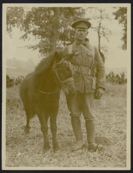 The front in France Description: The mascot of the K. R. Rifles Annotation: The front in France. Soldier of K. R. [King's Regulations] Rifles with their mascot, a pony Date: {1914-1918} Location: Fran...