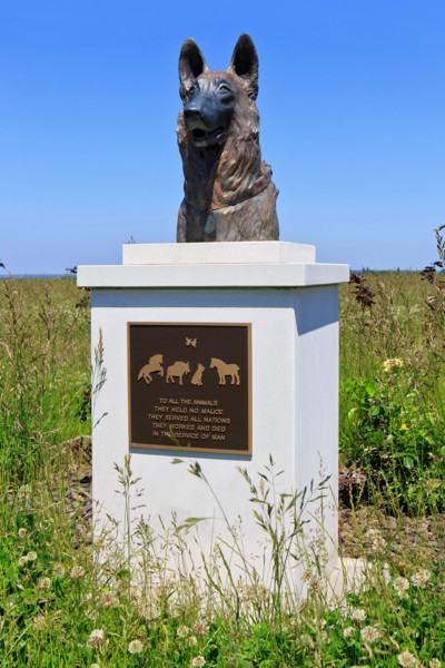 The Bronze Dog Statue, “Faithful Partner” at the WWI Animal War Memorial in Pozieres (Somme), France