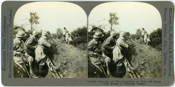 Horizontal, sepia stereocard showing three uniformed soldiers and a dog. The dog is carrying a soldier's helmet in its mouth. Keystone Stereograph number V18856. The title reads: 'The Dog in War - Rep...