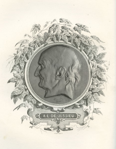 Antoine-Laurent de Jussieu