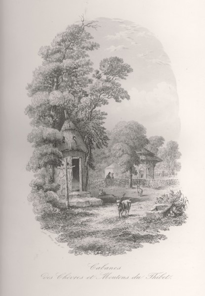 Cabane des chèvres et moutons du Tibet