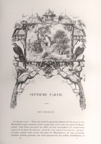 Enfants pêchant au bord d'une rivière