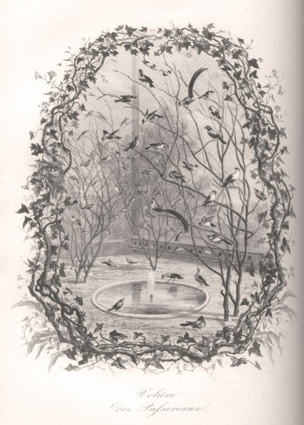 Volière des passereaux du Jardin des Plantes de Paris
