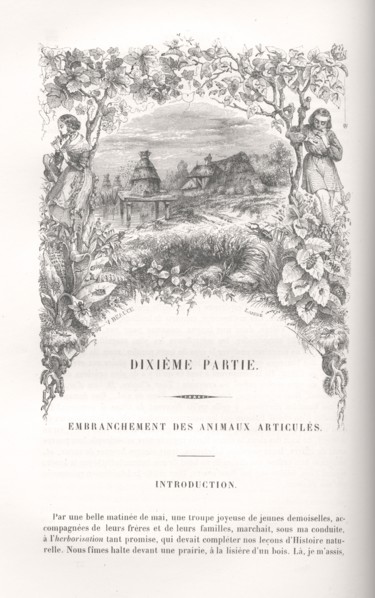 Paysage avec ruche