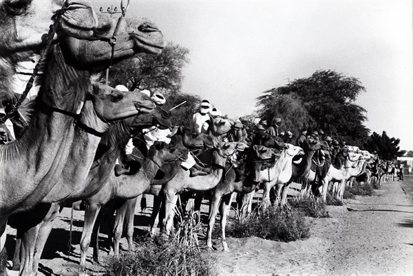 Tombouctou, les Touaregs alignés pour la visite officielle de Valéry Giscard d'Estaing (1977)
