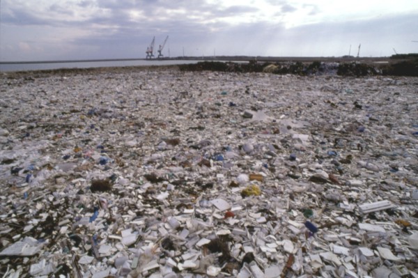 Une décharge près de la Rochelle
