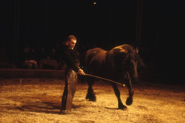Bartabas, 1989