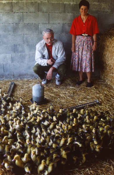 Michel Cardoze, 1990