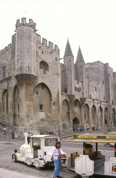 Le Palais des papes d'Avignon