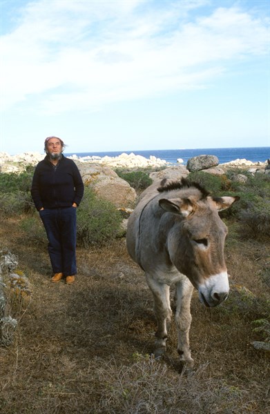 Marco Ferreri, 1989