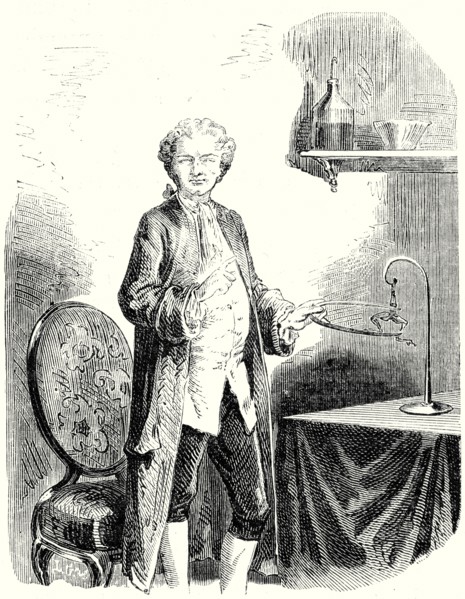 Galvani provoque les contractions de la grenouille au moyen d'un arc 
métallique