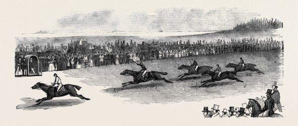 THE 2000 GUINEA RACE, NEWMARKET