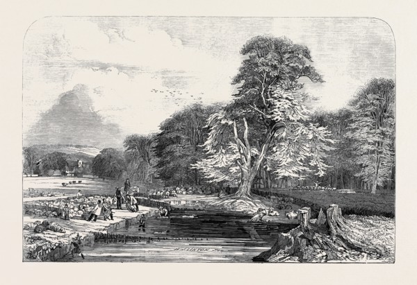 SHEEP-WASHING, BY E. DUNCAN