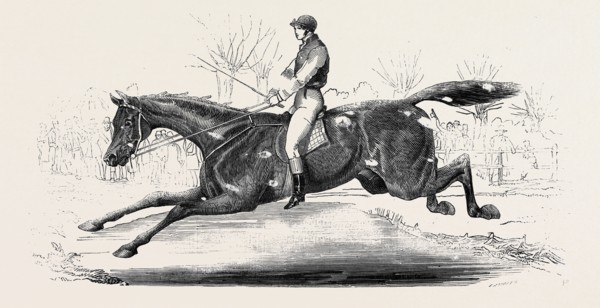 THE HARROW STEEPLE CHASE, THE LAST BROOK