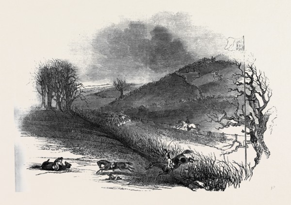 THE NORTHAMPTON STEEPLE CHASE.