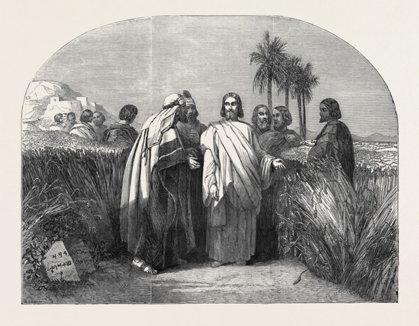 "CHRIST WITH THE DISCIPLES IN THE CORN FIELD" PAINTED BY HENRY WARREN, EXHIBITION OF THE NEW