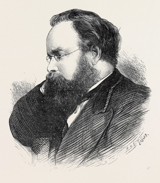 MR. S. PLIMSOLL. M.P., 1873