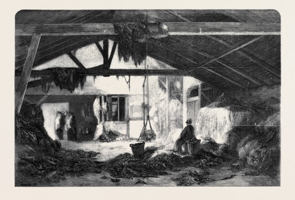 A RAG WAREHOUSE IN PARIS
