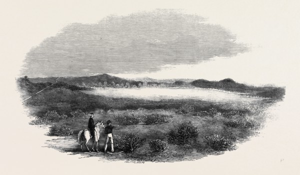SITE OF A PROPOSED CAMP AT WOOLMER FOREST