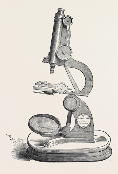 PILLISCHER'S MICROSCOPE, THE GREAT EXHIBITION