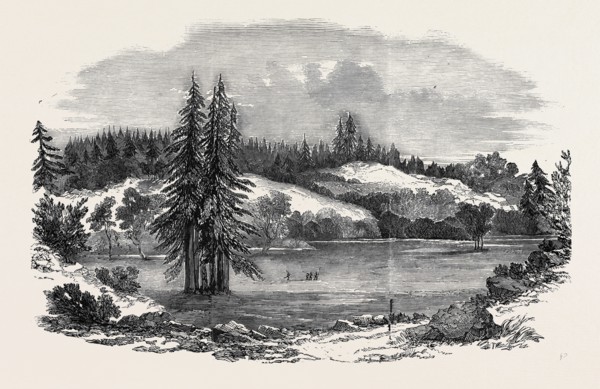 VIEW OF THE COUNTRY NEAR RUSSIAN RIVER, 100 MILES NORTH-WEST OF SAN FRANCISCO