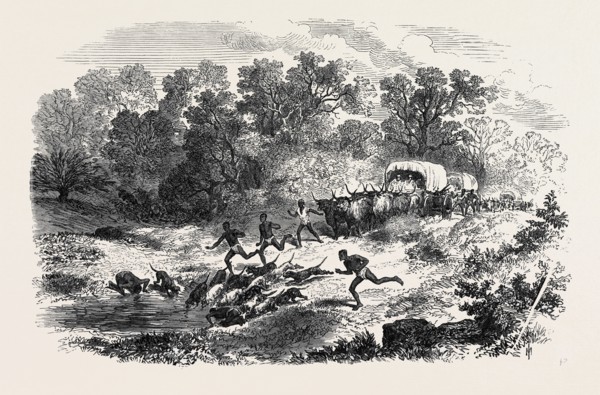 TRAVELLING IN AFRICA: THE RAIN-POOL BY THE WAY, 1869