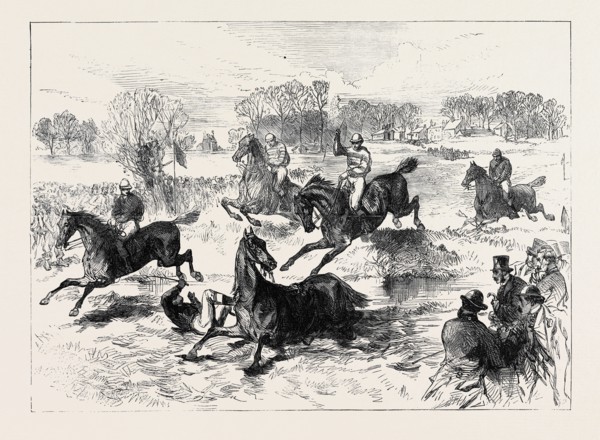 THE WINDSOR STEEPLECHASE, 1869