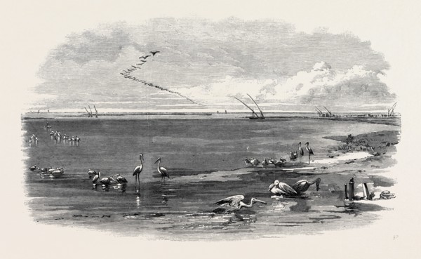 THE ISTHMUS OF SUEZ MARITIME CANAL: LAKE MENZALEH, 1869