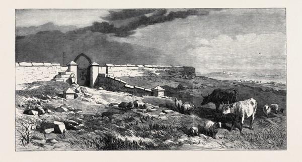 THE CRIMEA REVISITED: CATHCART HILL, 1869