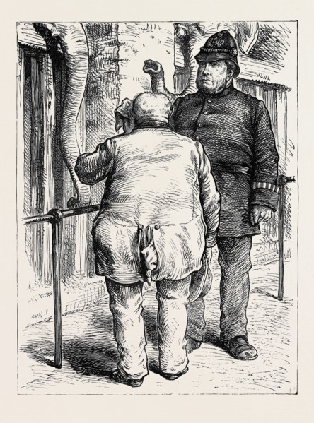 AT THE ZOOLOGICAL SOCIETY'S GARDENS IN LONDON: PACHYDERMATOUS OR THICK-SKINNED ANIMALS, 1880