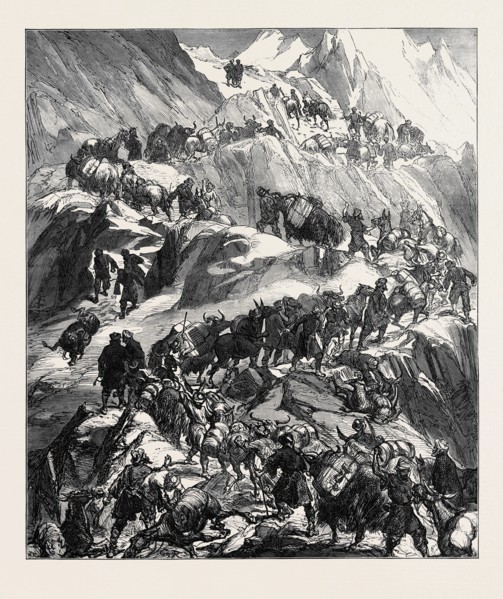 THE YARKUND MISSION: MULES AND BAGGAGE-TRAIN GOING OVER THE GRIM (SANJOO) PASS, 1874