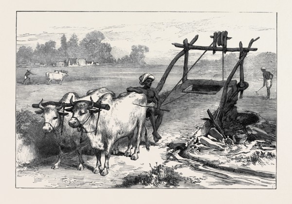 THE FAMINE IN BENGAL: INDIAN MODE OF IRRIGATION, 1874