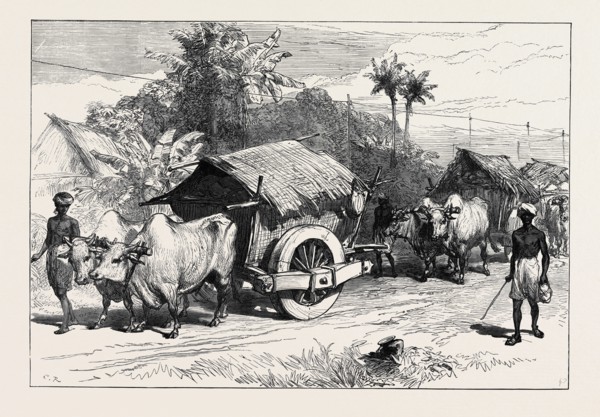 THE FAMINE IN BENGAL: BULLOCK HACKERIES FOR CARRYING GRAIN, 1874