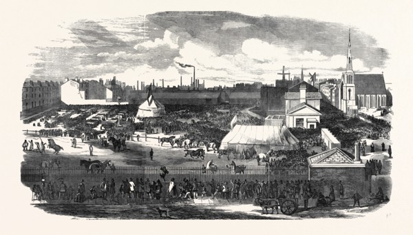 SHOW OF THE MANCHESTER AND LIVERPOOL AGRICULTURAL SOCIETY, IN THE HAYMARKET, GREAT HOMER STREET,