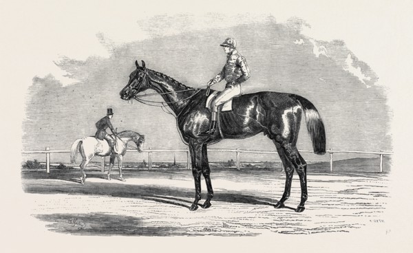 "KINGSTON," THE WINNER OF THE GOODWOOD CUP, 1852