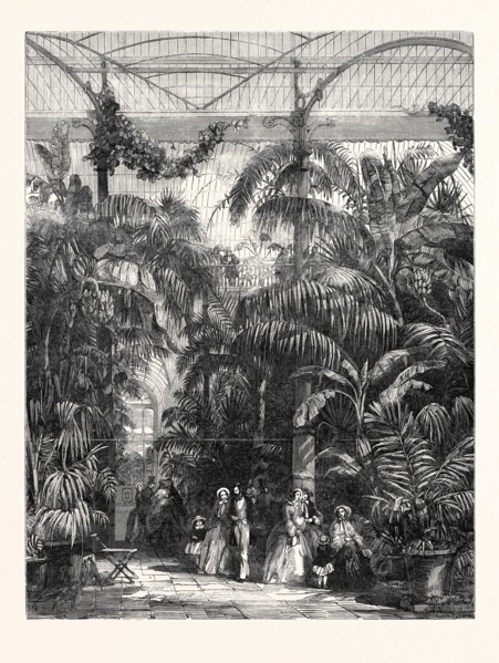 CENTRE OF THE GREAT PALM-HOUSE AT THE ROYAL BOTANIC GARDENS OF KEW