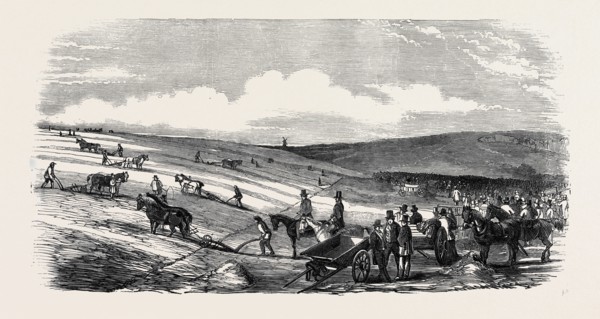 THE ROYAL AGRICULTURAL SOCIETY OF ENGLAND, MEETING AT LEWES: TRIAL OF IMPLEMENTS, AT THE WALLANDS,