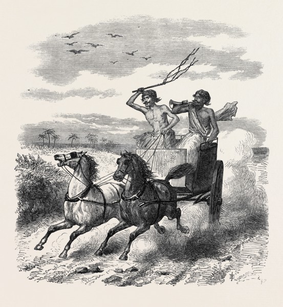 HER MAJESTY'S MAIL IN INDIA, 1867
