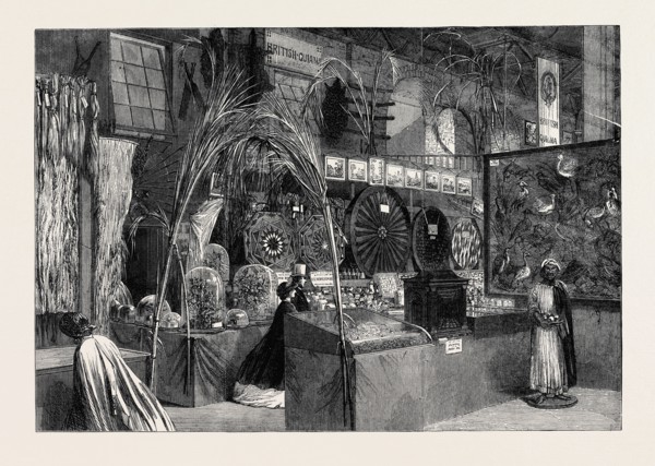 THE INTERNATIONAL EXHIBITION: BRITISH GUIANA AND BARBADOES COURTS, 1862