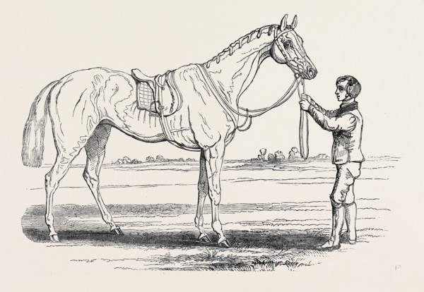 "ALICE HAWTHORN," THE WINNER OF THE GOLD VASE, AT ASCOT RACES, FROM A PAINTING BY HERRING