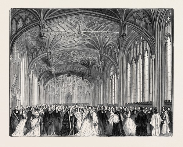 THE DIVINITY SCHOOL.