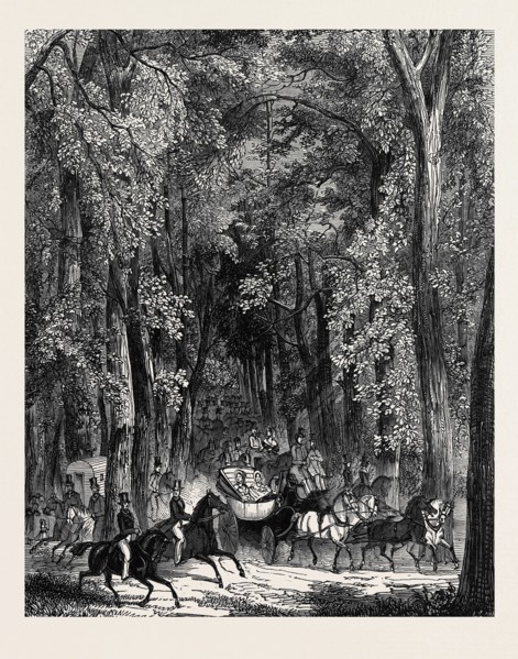 ROAD THROUGH GOODWOOD PARK.