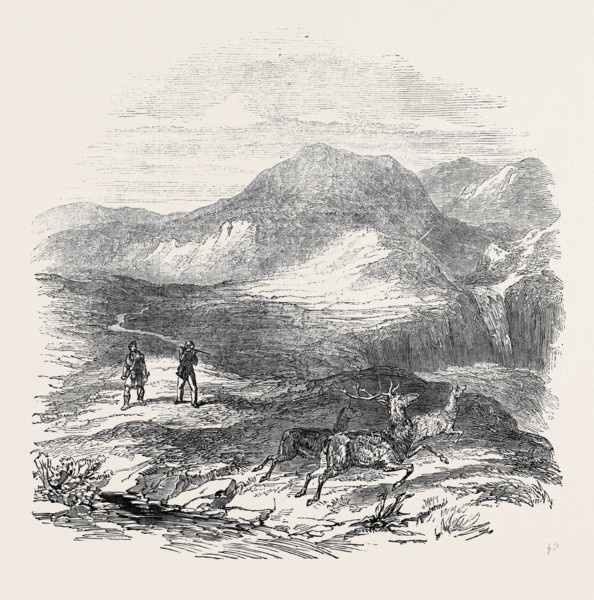 PRINCE ALBERT AND LORD GLENLYON DEER-STALKING AT ATHOL